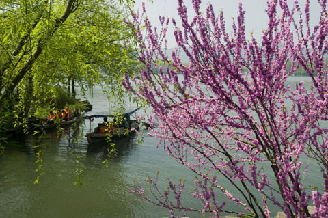 Am Westsee in Hangzhou